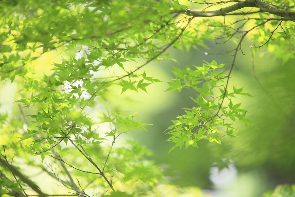 Oushuku Onsen Choeikan Shizukuishi Bagian luar foto